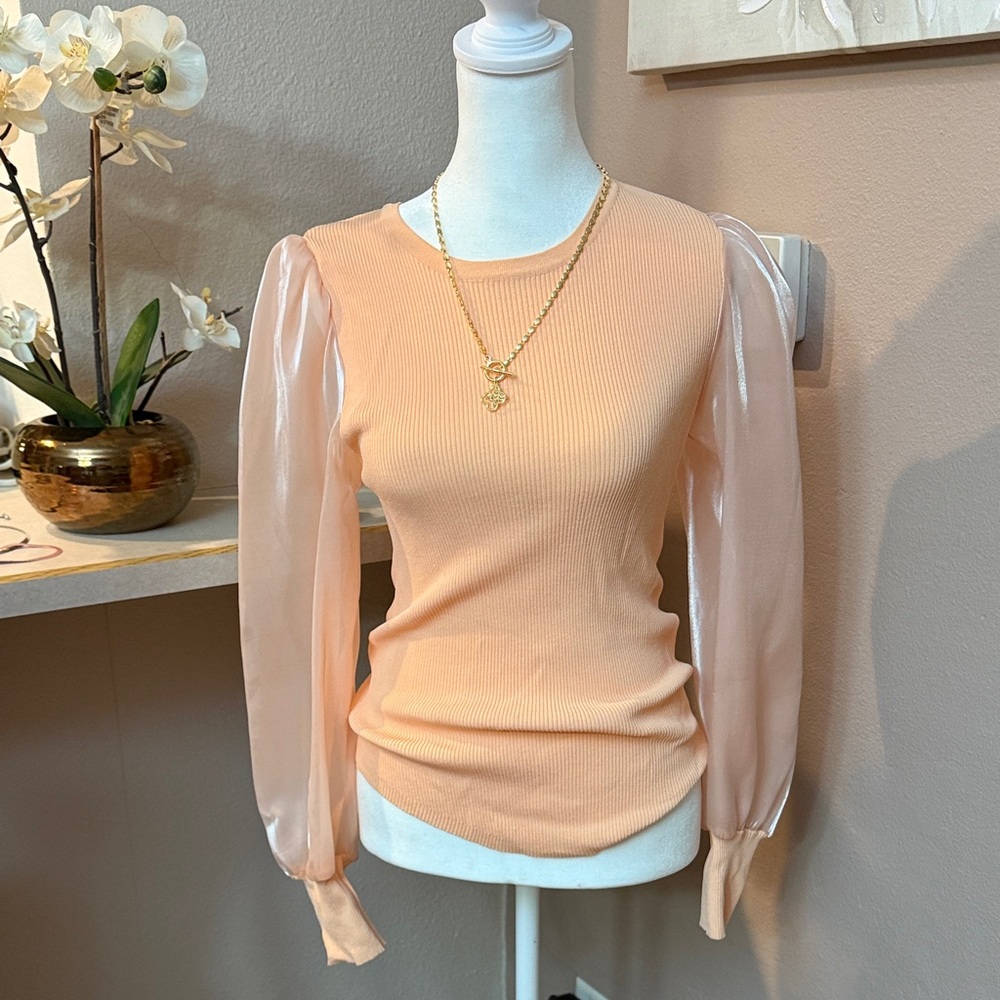 Entro Peach Blouse with Sheer Sleeves